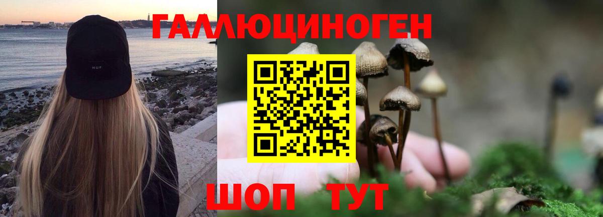 Псилоцибиновые грибы Magic Shrooms Муравленко